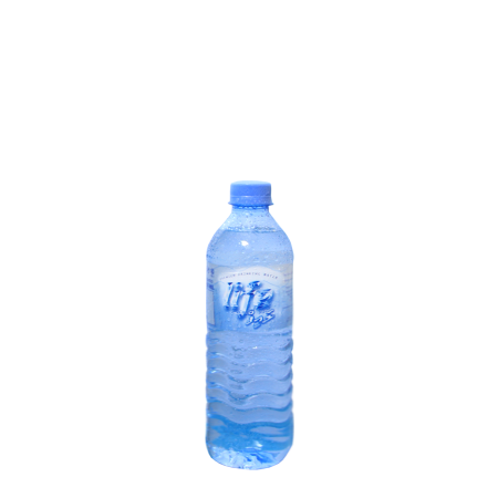 EFIC7dWKAPePK8wozhaAvFHUwoGCPQKrs7zy8r8n Life Water 500ML Bottle - Image 1